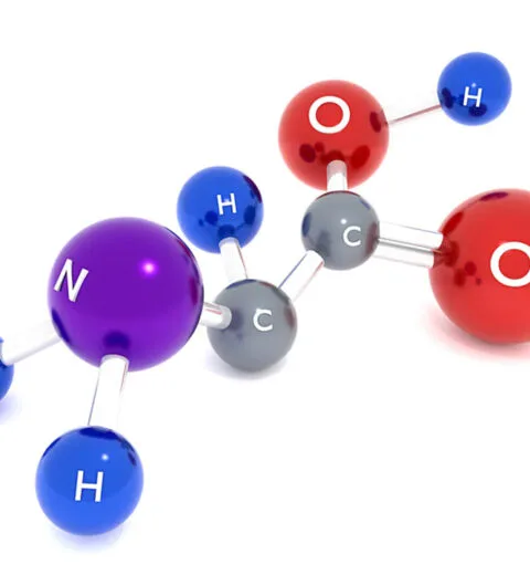 amino acids peptides in skin function